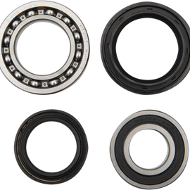 Wheel Bearing Kit - Rear