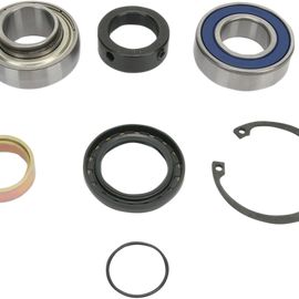 Chain Case Bearing and Seal Kit