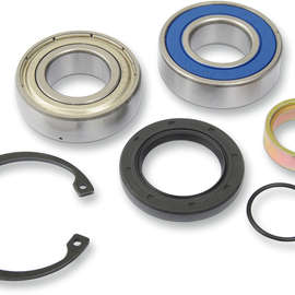 Chain Case Bearing and Seal Kit