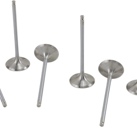 Intake Valve Kit