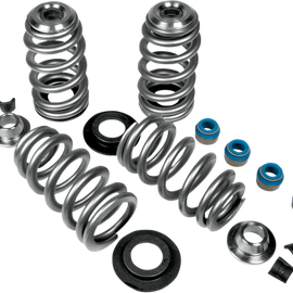 Beehive Valve Springs6323473