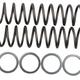 Fork Springs - 0.48 kg/mm