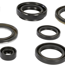 Motor Seals - Arctic Cat/Suzuki