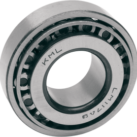 Left Swingarm Bearing and Race