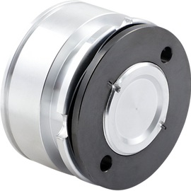 Rear Caliper Piston - FL