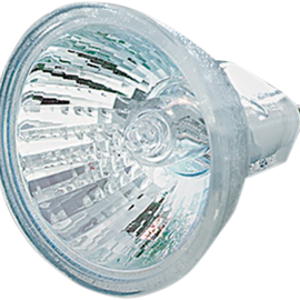 Halogen Bulbs for Silver Bullet Lights - 20W