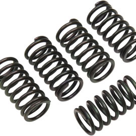 Clutch Spring Set