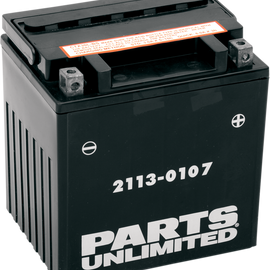 AGM Battery - YIX30L-BS