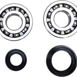 Crank Bearing and Seal Kit