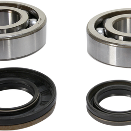 Crank Bearing and Seal Kit