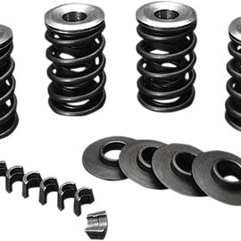 Valve Spring Kit - Evolution - Big Twin