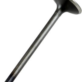 Exhaust Valve