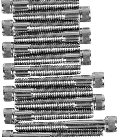 Tornillos allen estriado cubierta de levas y primaria cromo