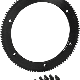Starter Ring Gear 102 Tooth - Harley Davidson843888