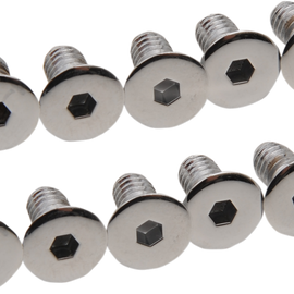 Derby/Inspection Cover Screws 12-24