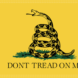 Don't Tread Flag - 10" x 15"