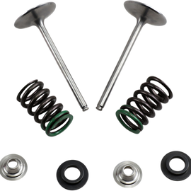 Intake Valve Kit