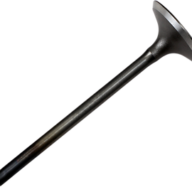 Intake Valve