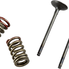 Valve and Spring Kit