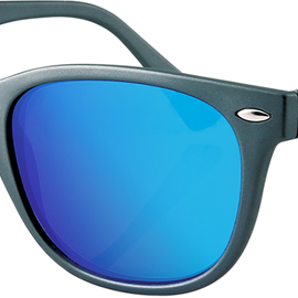 NVS Sunglasses - Matte Gunmetal