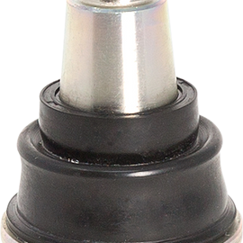 Lower A-Arm Ball Joint