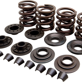 Valve Spring Kit - XL836703