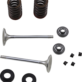 Exhaust Valve Kit