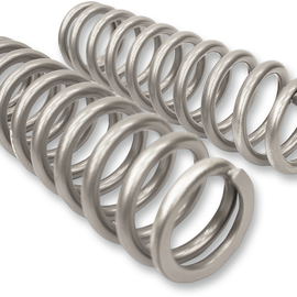 Front Shock Springs - Silver