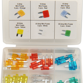 Fuse Assortment Mini LED 30-Piece