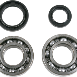 Crank Bearings and Seals - LT250R