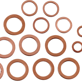 Drain Plug Washer Kit