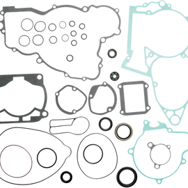 Motor Gasket Kit with Seal - 300XC/XCW