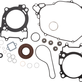 Complete Motor Gasket Kit with Seals - Ace 570