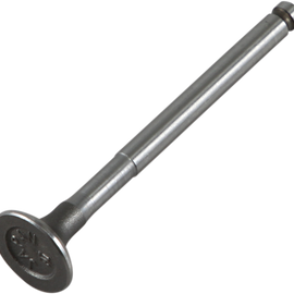 Exhaust Valve