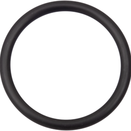 Starter O-Ring - Street 500/750