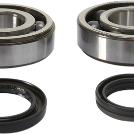 Crank Bearing and Seal Kit