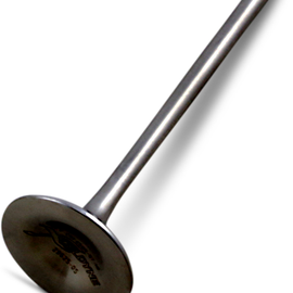 Exhaust Valve