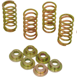 Clutch Spring Kit