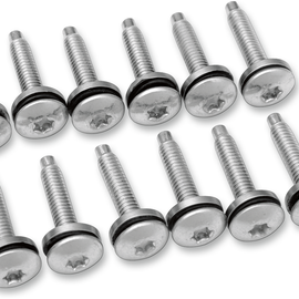 Screw Electric Fuel Injection Mount 12-Pack