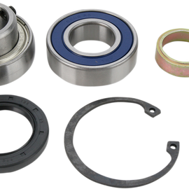 Chain Case Bearing and Seal Kit