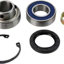 Chain Case Bearing and Seal Kit