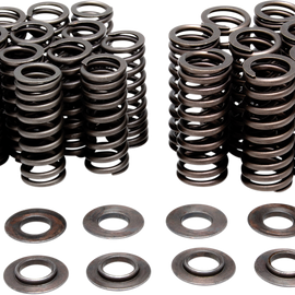 Valve Spring Kit