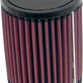 Air Filter - Fourtrax