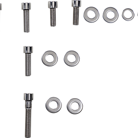 Motor Mount Bolt Kit - Softail '18+