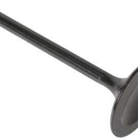 Intake Valve