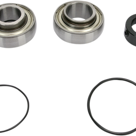 Chain Case Bearing and Seal Kit