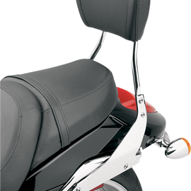 Sissy Bar - Tall - VZR 1800