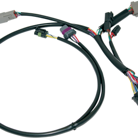 Ignition Wiring Harness - Harley Davidson