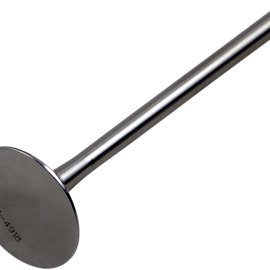 Exhaust Valve