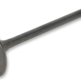 Intake Valve